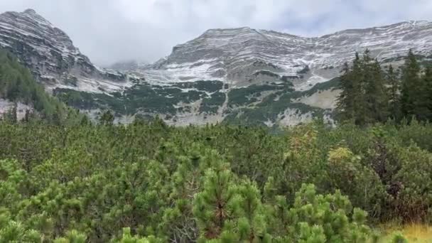 Majestátní Hora Warscheneck Rakouských Alpách Létě Vysoce Kvalitní Záběry — Stock video