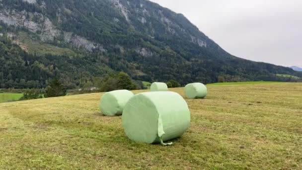 Alp Arazisindeki Biçilmiş Çayırlarda Saman Balyaları Yüksek Kalite Görüntü — Stok video