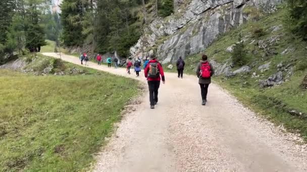 中年妇女在高山小径上远足 高质量的4K镜头 — 图库视频影像