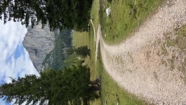 Όμορφο Ορεινό Τοπίο Στην Αυστριακή Άλπεις Καλοκαίρι Υψηλής Ποιότητας Πλάνα — Αρχείο Βίντεο