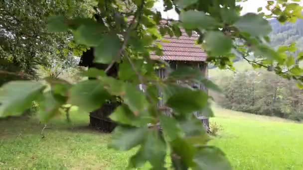 Grange Rurale Près Forêt Sur Colline Alpine Images Haute Qualité — Video