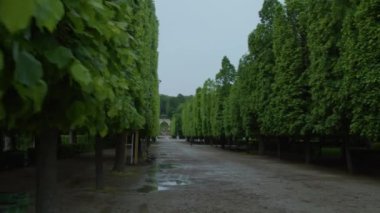 Avusturya, Viyana 'daki İmparatorluk Schoenbrunn Sarayı manzarası. Yüksek kalite 4k görüntü