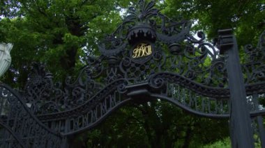 Yazın Viyana manzarası. Yüksek kalite 4k görüntü