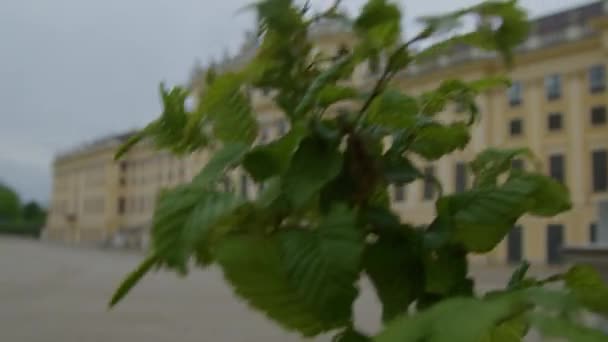 Вид Имперский Дворец Шенфельд Вене Австрия Высококачественные Кадры — стоковое видео