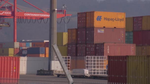 港口的蓝色集装箱起重机 高质量的4K镜头 — 图库视频影像