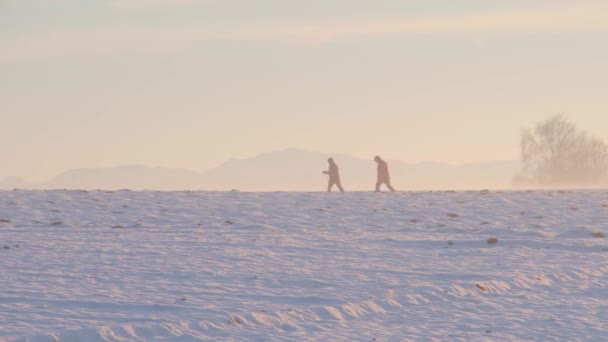 Pedoni Che Camminano Nel Paesaggio Invernale Filmati Alta Qualità — Video Stock