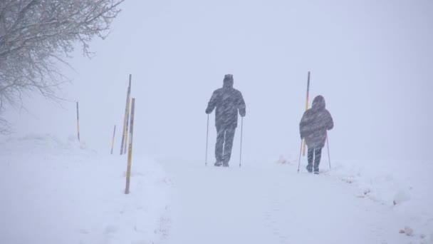 Pedestres Caminhando Paisagem Inverno Imagens Alta Qualidade — Vídeo de Stock