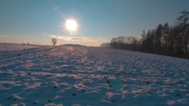 Čas Pro Chodce Procházející Zimní Krajině Vysoce Kvalitní Záběry — Stock video