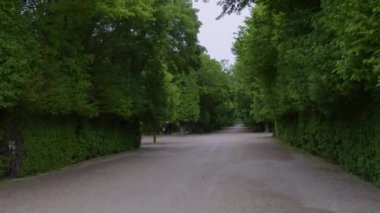 Avusturya, Viyana 'daki İmparatorluk Schoenbrunn Sarayı manzarası. Yüksek kalite 4k görüntü