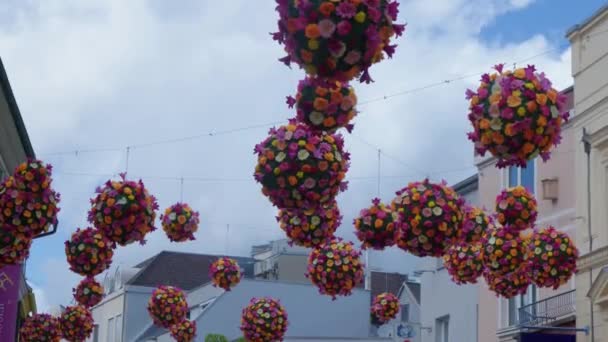 Elementos Decoração Flores Rua Comercial Imagens Alta Qualidade — Vídeo de Stock