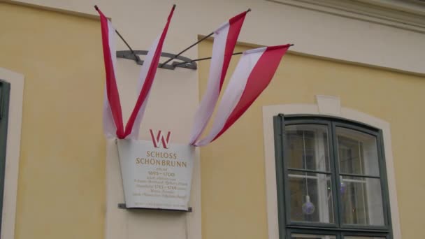 Över Kejserliga Schönbrunn Palatset Wien Österrike Högkvalitativ Film — Stockvideo