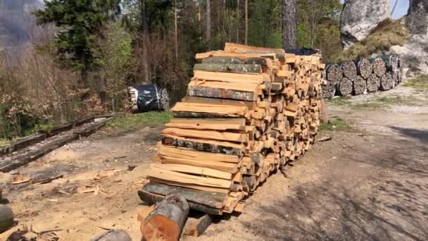 森に覆われた薪の山 高品質のフルHd映像 — ストック動画