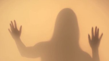 Kadın oyuncu perdenin arkasında silüet maharet sergiliyor. Yüksek kaliteli FullHD görüntüler