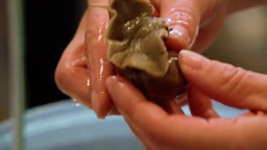 Salyangoz marul yaprağıyla kağıdın üzerinde sürünüyor. Yüksek kaliteli FullHD görüntüler