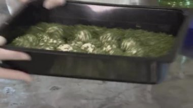 Süt işçisi soğanlı yumuşak peynir topları yapıyor. Yüksek kaliteli FullHD görüntüler