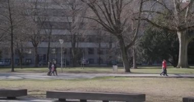 Linz 'deki Volksgarten halk parkı. Yüksek kalite 4k görüntü