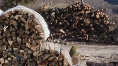 Dışarıdaki odunlukta sıra sıra odun yığını. Yüksek kalite 4k görüntü