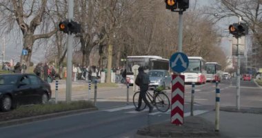 Zebra, Avusturya 'nın Linz şehrinde banliyö arabası ve otobüs trafiğiyle kesişiyor. Yüksek kalite 4k görüntü