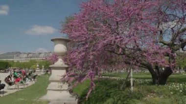 Paris, Fransa 'daki Jardin De Tuileries' de turistler. Yüksek kalite 4k görüntü