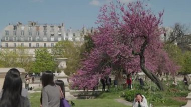 Paris, Fransa 'daki Jardin De Tuileries' de turistler. Yüksek kalite 4k görüntü