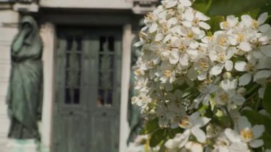 Paris 'teki Pere Lachaise mezarlığında yas tutan heykeller ve çiçek açan çalılar. Yüksek kalite 4k görüntü