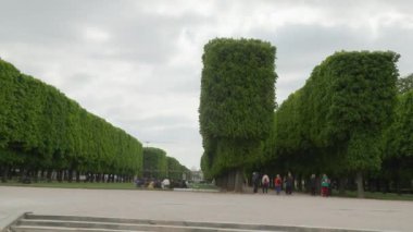 Fransa 'nın başkenti Paris' te Jardin Du Lüksemburg 'da yetiştirilmiş çitler. Yüksek kalite 4k görüntü