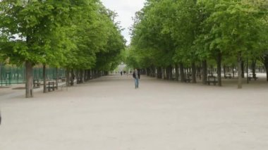 Paris, Fransa 'daki ünlü Jardin Du Lüksemburg parkı. Yüksek kalite 4k görüntü