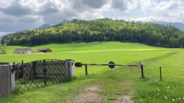 Avusturya 'nın dağlık eteklerinde engelli köy yolu. Yüksek kalite 4k görüntü