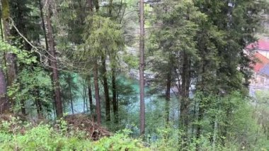 Yukarı Avusturya 'daki Steyr Nehri' nde hidroelektrik santrali. Yüksek kalite 4k görüntü