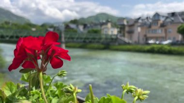 Yukarı Avusturya Salzkammergut 'taki Traun nehrinin yanındaki Bad Ischl. Yüksek kalite 4k görüntü