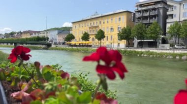 Yukarı Avusturya Salzkammergut 'taki Traun nehrinin yanındaki Bad Ischl. Yüksek kalite 4k görüntü