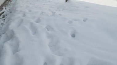 Taze karda ayakkabı izleri. Yüksek kalite 4k görüntü