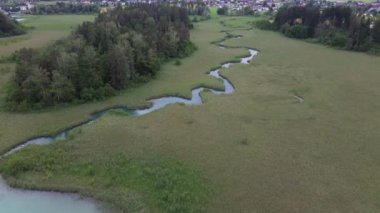 Faaker See, Carinthia 'daki sazlıktan geçen nehir. Yüksek kalite 4k görüntü