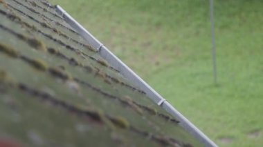 Çatı kiremitlerine sağanak yağmur yağıyor. Yüksek kalite 4k görüntü