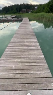 Avusturya, Carinthia 'daki Faaker Gölü' nde sazlıklar arasında güzel bir iskele. Yüksek kalite 4k görüntü