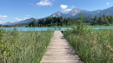 Avusturya, Carinthia 'daki Faaker Gölü' nde sazlıklar arasında güzel bir iskele. Yüksek kalite 4k görüntü