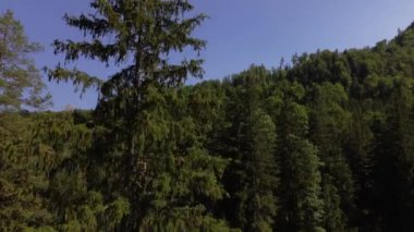 Yukarı Avusturya 'daki Totes Gebirge Dağları' nın anteni. Yüksek kalite 4k görüntü