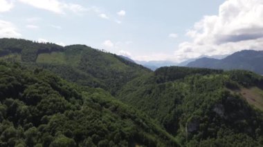 Yukarı Avusturya 'daki Alp Ormanı' nın antresi. Yüksek kalite 4k görüntü