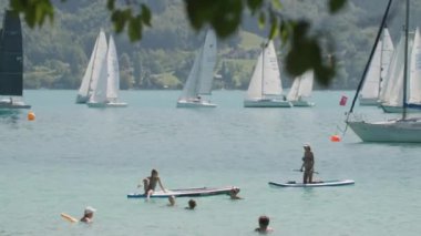 Yazın ortasında Alpine Gölü 'nde yoğun bir hayat. Yüksek kalite 4k görüntü
