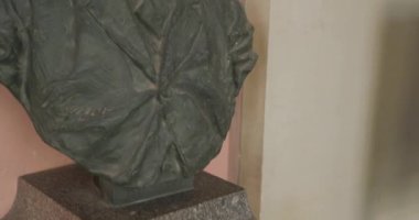 Müzik eleştirmeni heykeli ve Profesör Eduard Hanslick. Yüksek kalite 4k görüntü