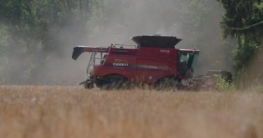 tarım alanında tahıl harmanlayan hasatçıları birleştirin. Yüksek kalite 4k görüntü