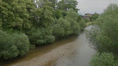Voecklabruck 'taki Voeckla Nehri, Yukarı Avusturya. Yüksek kalite 4k görüntü