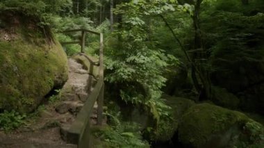 Yukarı Avusturya 'da şelaleli Wolfsschlucht yürüyüş yolu. Yüksek kalite 4k görüntü