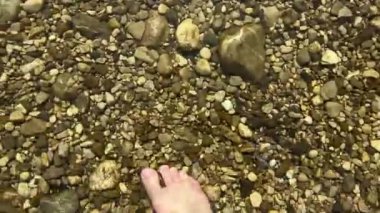 Erkek ayağı yazın Alp Nehri akıntısında yürür. Yüksek kalite 4k görüntü