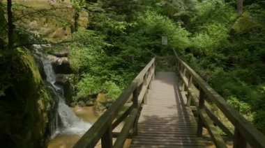 Yukarı Avusturya 'da şelaleli Wolfsschlucht yürüyüş yolu. Yüksek kalite 4k görüntü