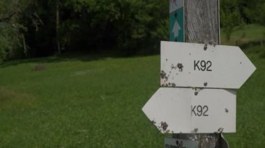 Yön işaretleriyle yürüyüş yolları. Yüksek kalite 4k görüntü