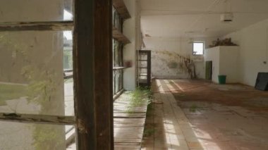 Antik palmiye evlerinde güneş büyük camlardan içeri giriyor. Yüksek kalite 4k görüntü