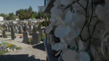 Avusturya 'daki mezarlıkta mezar taşları. Yüksek kalite 4k görüntü