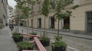 Linz 'de serinlemek için şehir sokağında saksı ağaçları. Yüksek kalite 4k görüntü