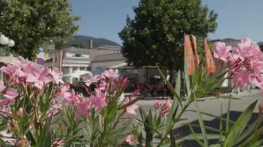 Bad Ischl, Yukarı Avusturya 'daki Trinkhalle kongre merkezi. Yüksek kalite 4k görüntü